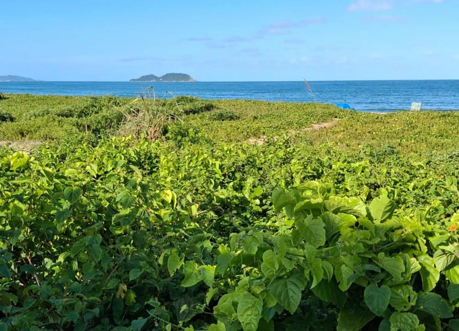 Apartamento 2 Andares, Na Frente Da Praia Florianópolis